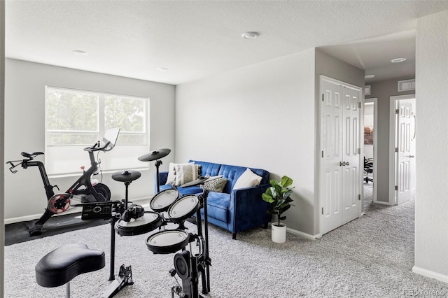 5099 S Robb St, Littleton, CO 80127 - workout room with baseboards, carpet floors, and a textured ceiling