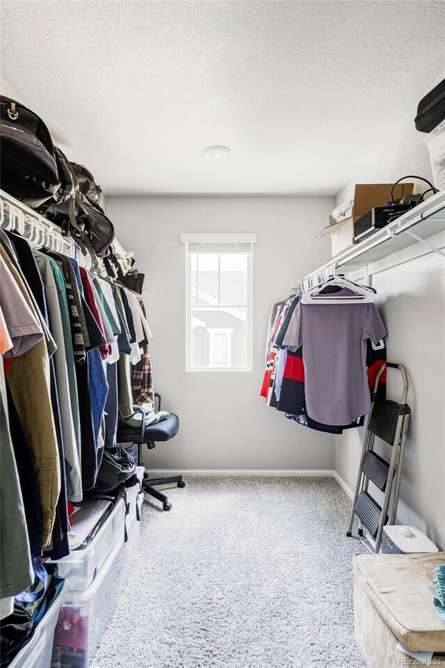 5099 S Robb St, Littleton, CO 80127 - view of walk in closet
