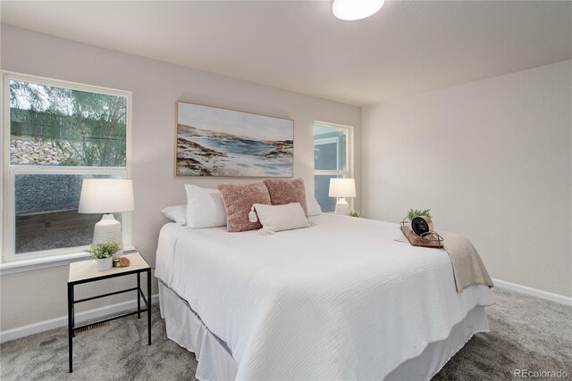 bedroom featuring carpet floors