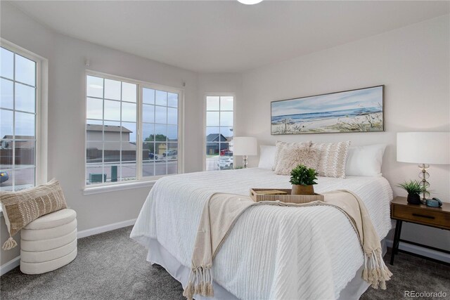 bedroom featuring carpet and multiple windows