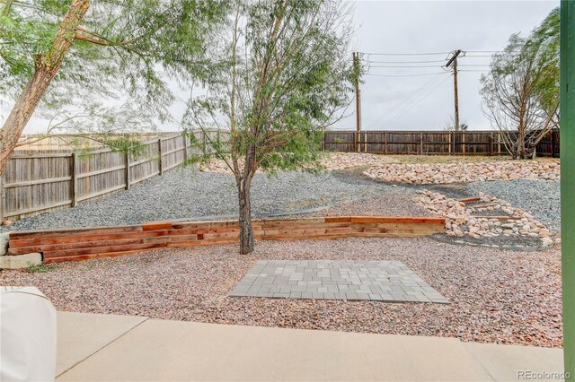 view of yard featuring a patio