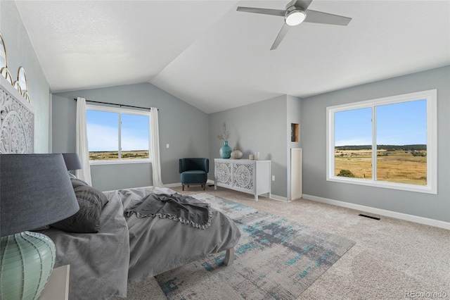 9955 Tanglewood Rd, Franktown, CO 80116 - photo 23