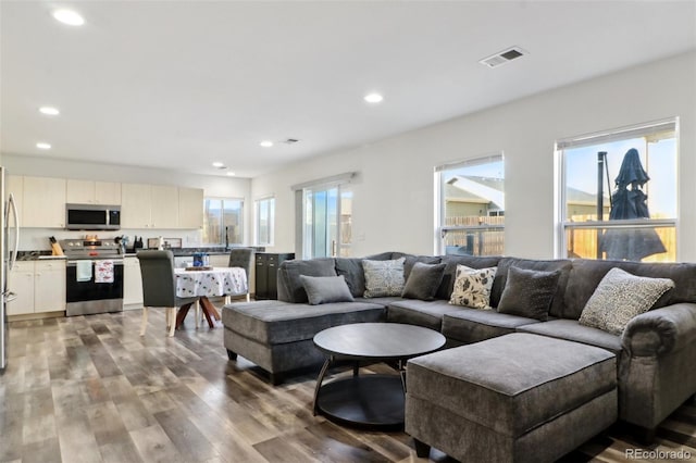 living room featuring hardwood / wood-style floors, plenty of natural light, and sink