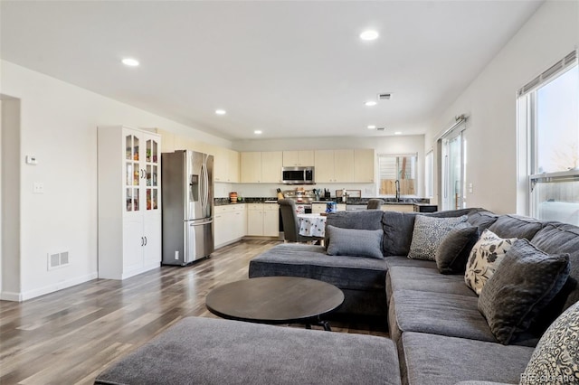 living room featuring wood-type flooring