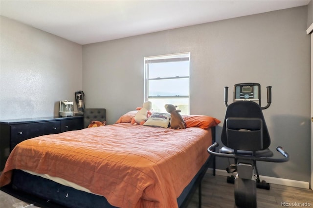 bedroom with hardwood / wood-style flooring