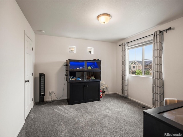 5358 Ventura St, Denver, CO 80249 - photo 18