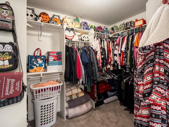 5358 Ventura St, Denver, CO 80249 - photo 29