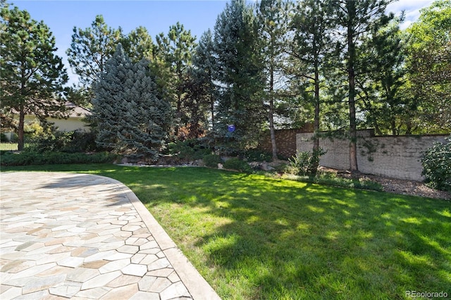 view of yard featuring a patio