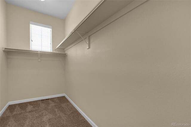 3266 Riverwood Way, Castle Rock, CO 80109 - spacious closet with dark carpet