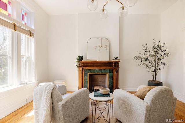 living area featuring a premium fireplace and light wood finished floors