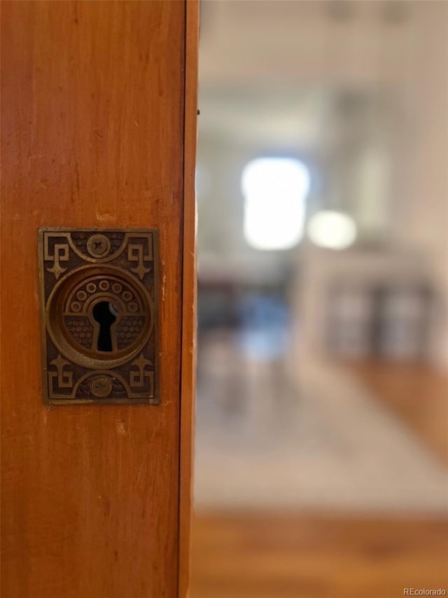 view of details