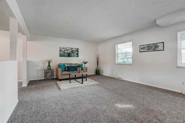 sitting room with carpet floors and a textured ceiling