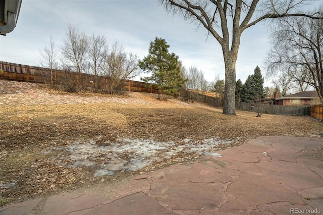 view of yard with a patio area