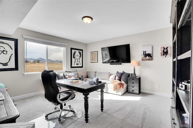 office with baseboards and carpet floors