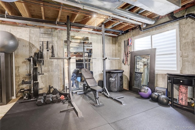 23427 Song Bird Hills Pl, Parker, CO 80138 - view of workout area