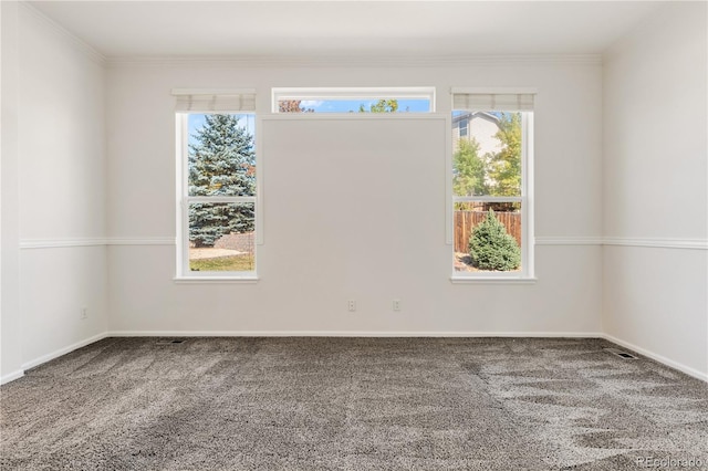 carpeted empty room featuring ornamental molding