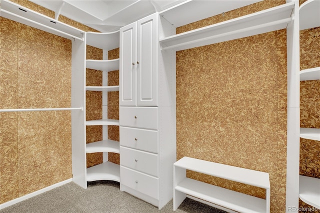 spacious closet featuring carpet floors