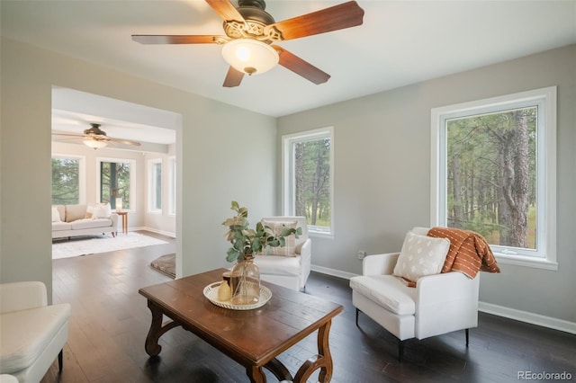 sitting room featuring dark hardwood / wood-style flooring