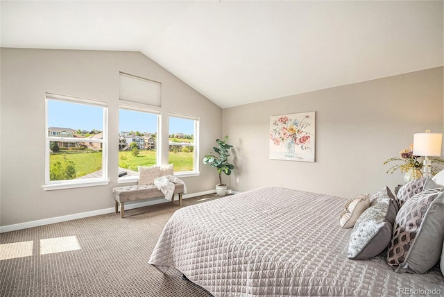 14284 W 88th Dr Unit B, Arvada, CO 80005 - photo 4