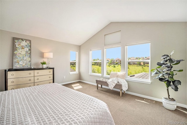 14284 W 88th Dr Unit B, Arvada, CO 80005 - photo 5