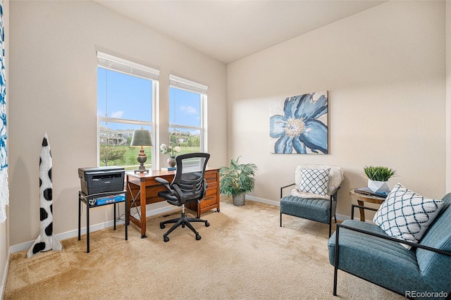 14284 W 88th Dr Unit B, Arvada, CO 80005 - photo 14