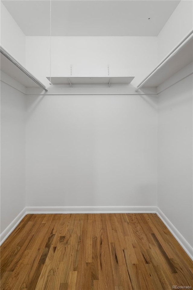 spacious closet featuring hardwood / wood-style floors