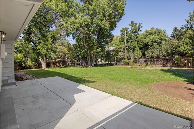 view of yard featuring a patio area