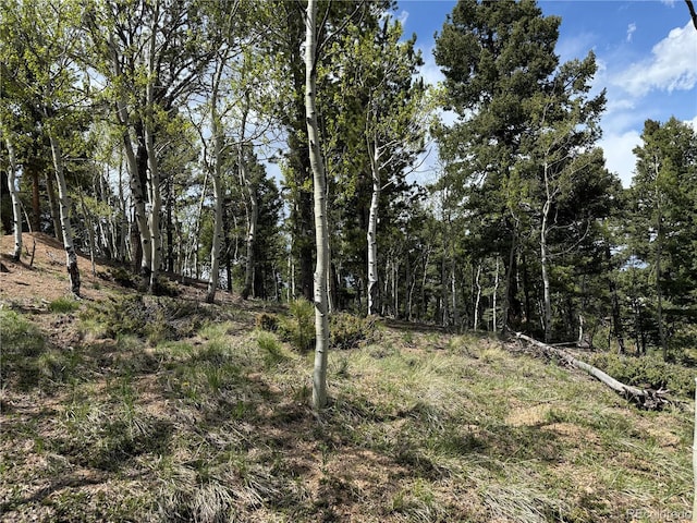 62 Hadatsa Ln, Woodland Park, CO 80863