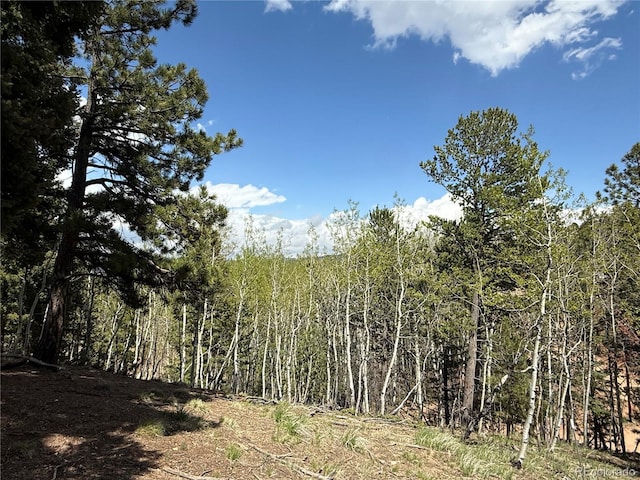 62 Hadatsa Ln, Woodland Park, CO 80863