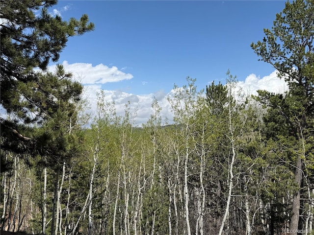 62 Hadatsa Ln, Woodland Park, CO 80863