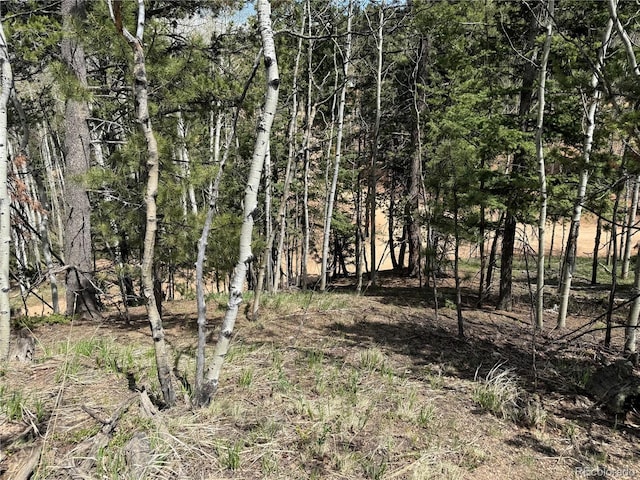 62 Hadatsa Ln, Woodland Park, CO 80863
