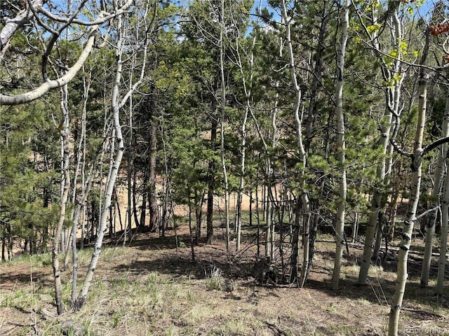 62 Hadatsa Ln, Woodland Park, CO 80863