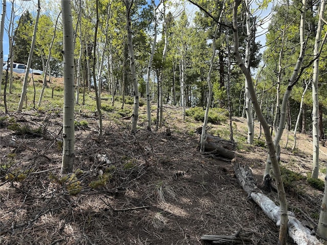 62 Hadatsa Ln, Woodland Park, CO 80863