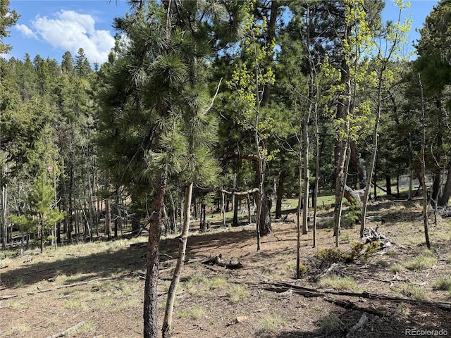 62 Hadatsa Ln, Woodland Park, CO 80863