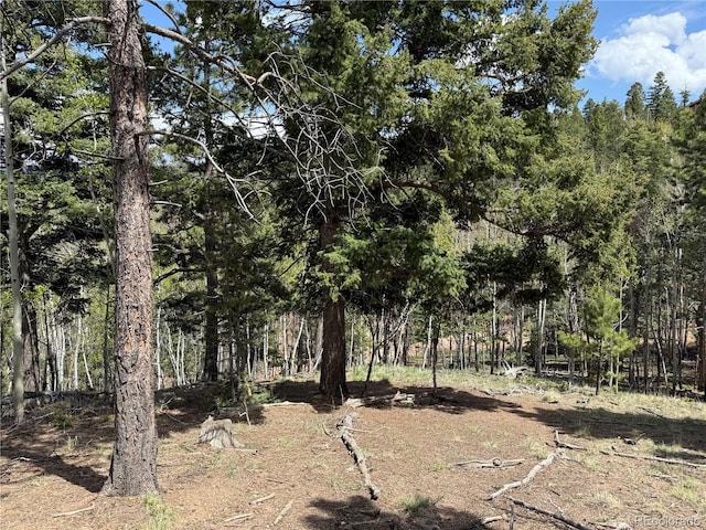 62 Hadatsa Ln, Woodland Park, CO 80863