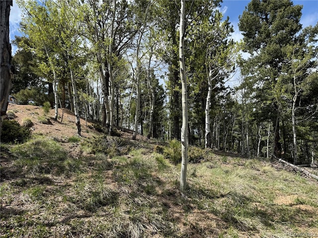 62 Hadatsa Ln, Woodland Park, CO 80863