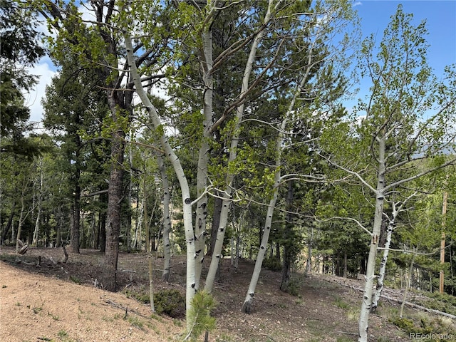 62 Hadatsa Ln, Woodland Park, CO 80863