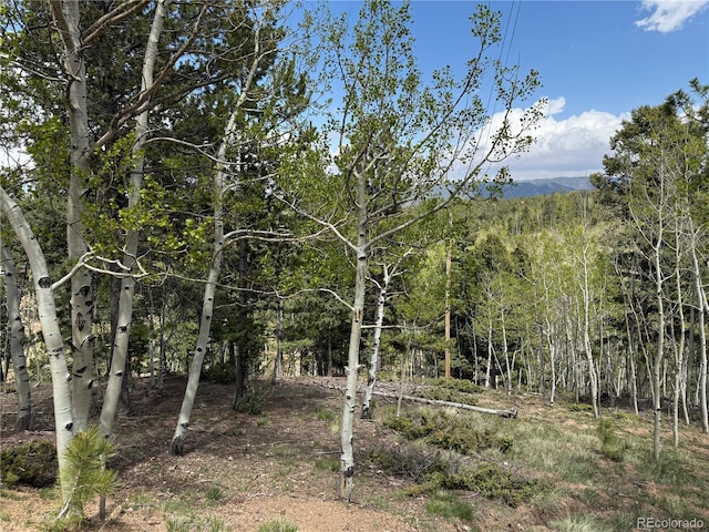 62 Hadatsa Ln, Woodland Park, CO 80863