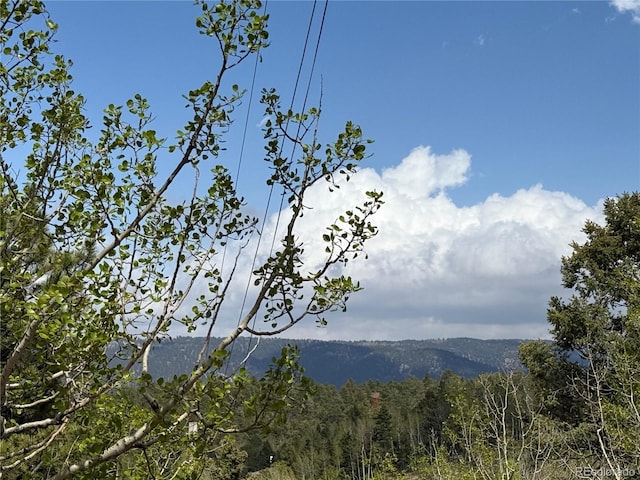 62 Hadatsa Ln, Woodland Park, CO 80863