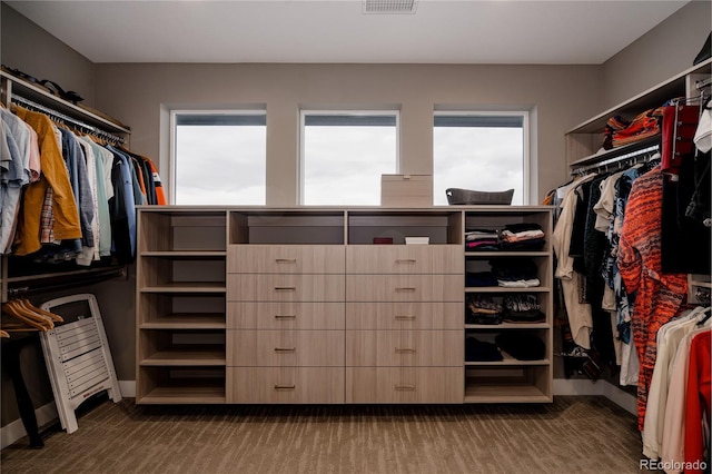 walk in closet featuring carpet flooring and visible vents