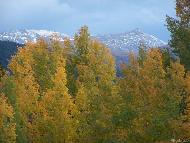 Glacier Ridge Rd, Alma, CO 80420 - photo 12