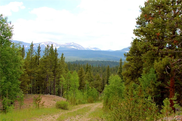 Glacier Ridge Rd, Alma, CO 80420 - photo 1