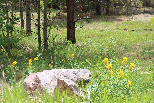 Glacier Ridge Rd, Alma, CO 80420 - photo 2