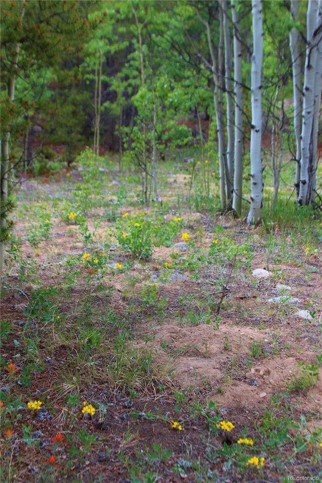 Glacier Ridge Rd, Alma, CO 80420 - photo 5