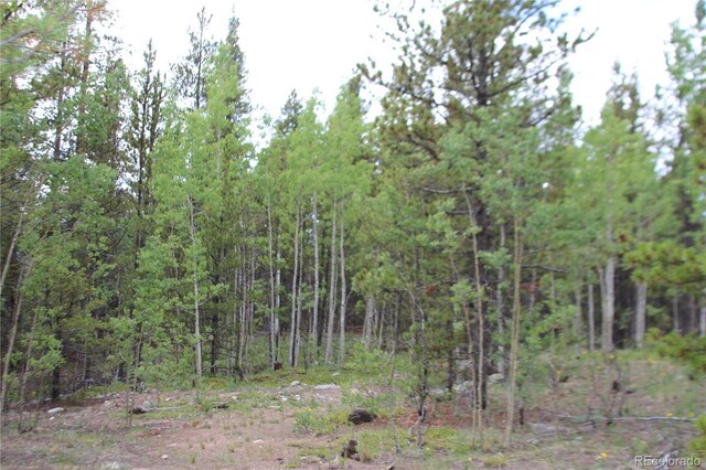 Glacier Ridge Rd, Alma, CO 80420 - photo 6
