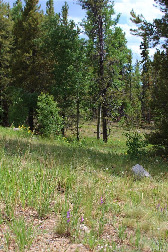 Glacier Ridge Rd, Alma, CO 80420 - photo 9