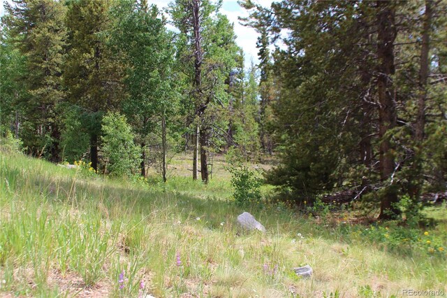 Glacier Ridge Rd, Alma, CO 80420 - photo 3