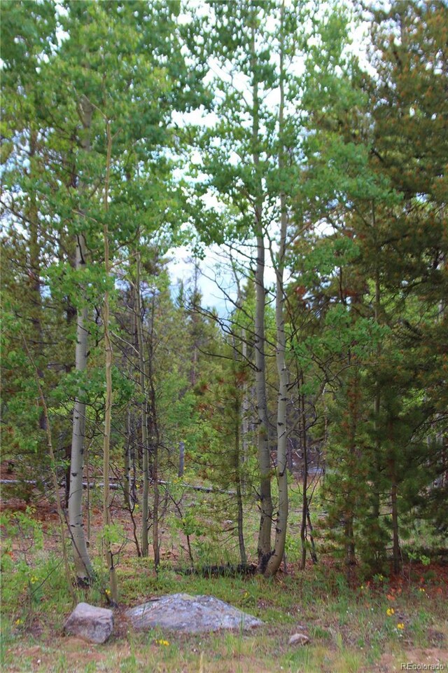 Glacier Ridge Rd, Alma, CO 80420 - photo 4