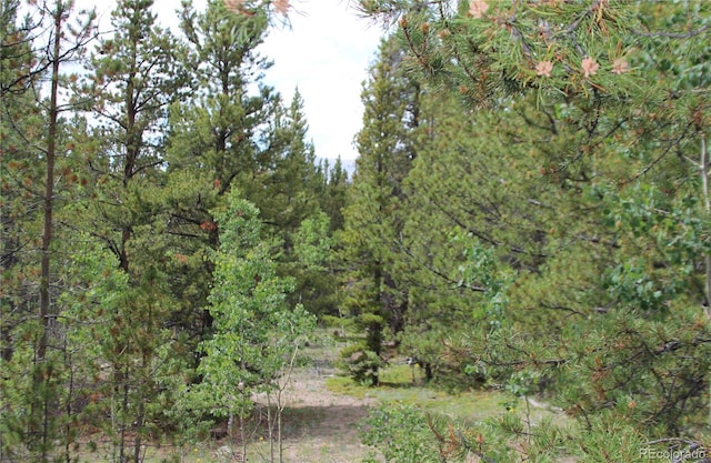 Glacier Ridge Rd, Alma, CO 80420 - photo 7