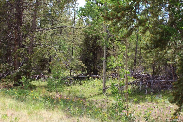 Glacier Ridge Rd, Alma, CO 80420 - photo 8